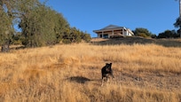 Our dog loved the yard and being off-leash