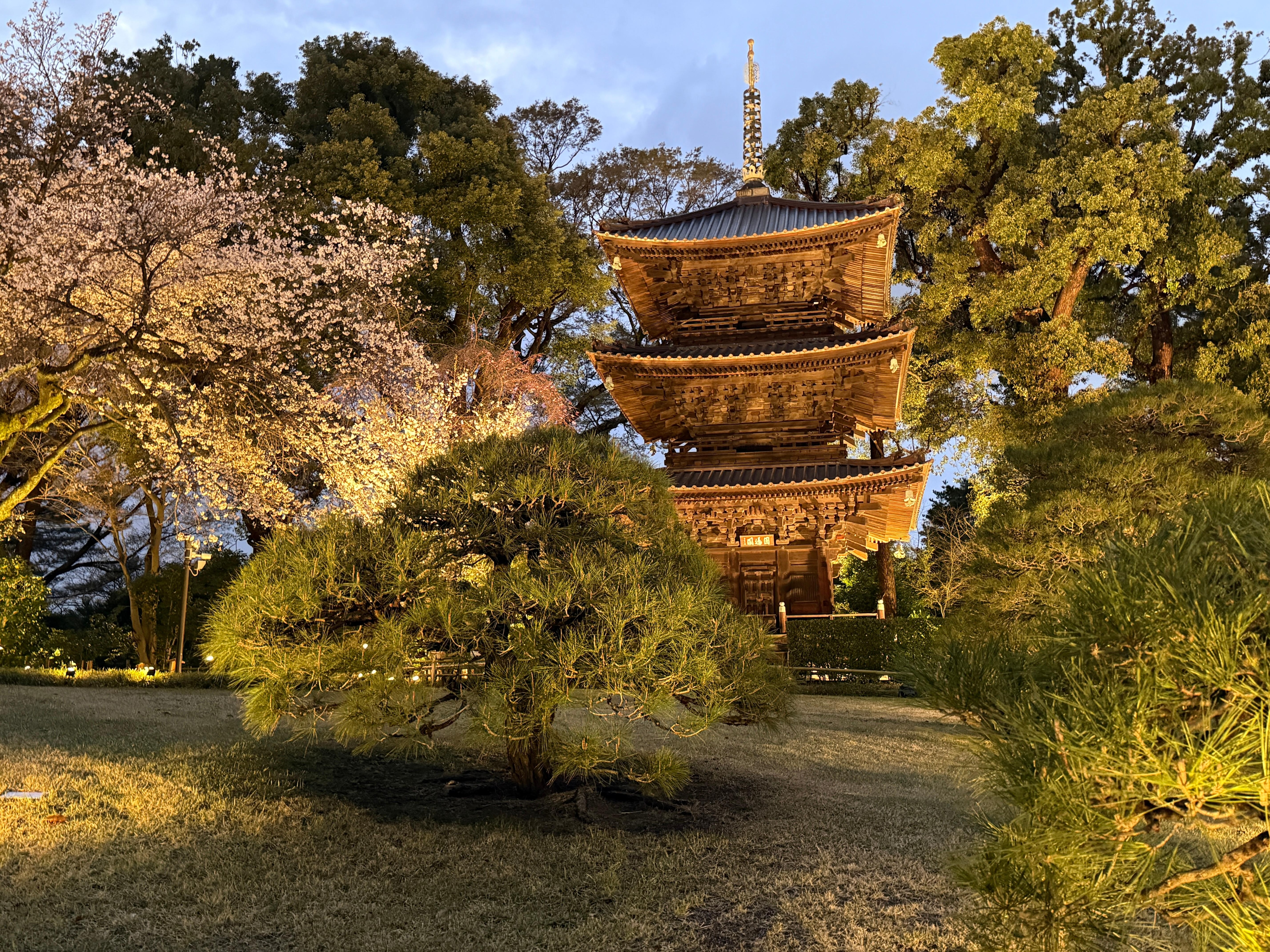 Pagoda is the centerpiece of the gardens. 