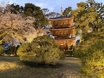 Pagoda is the centerpiece of the gardens.