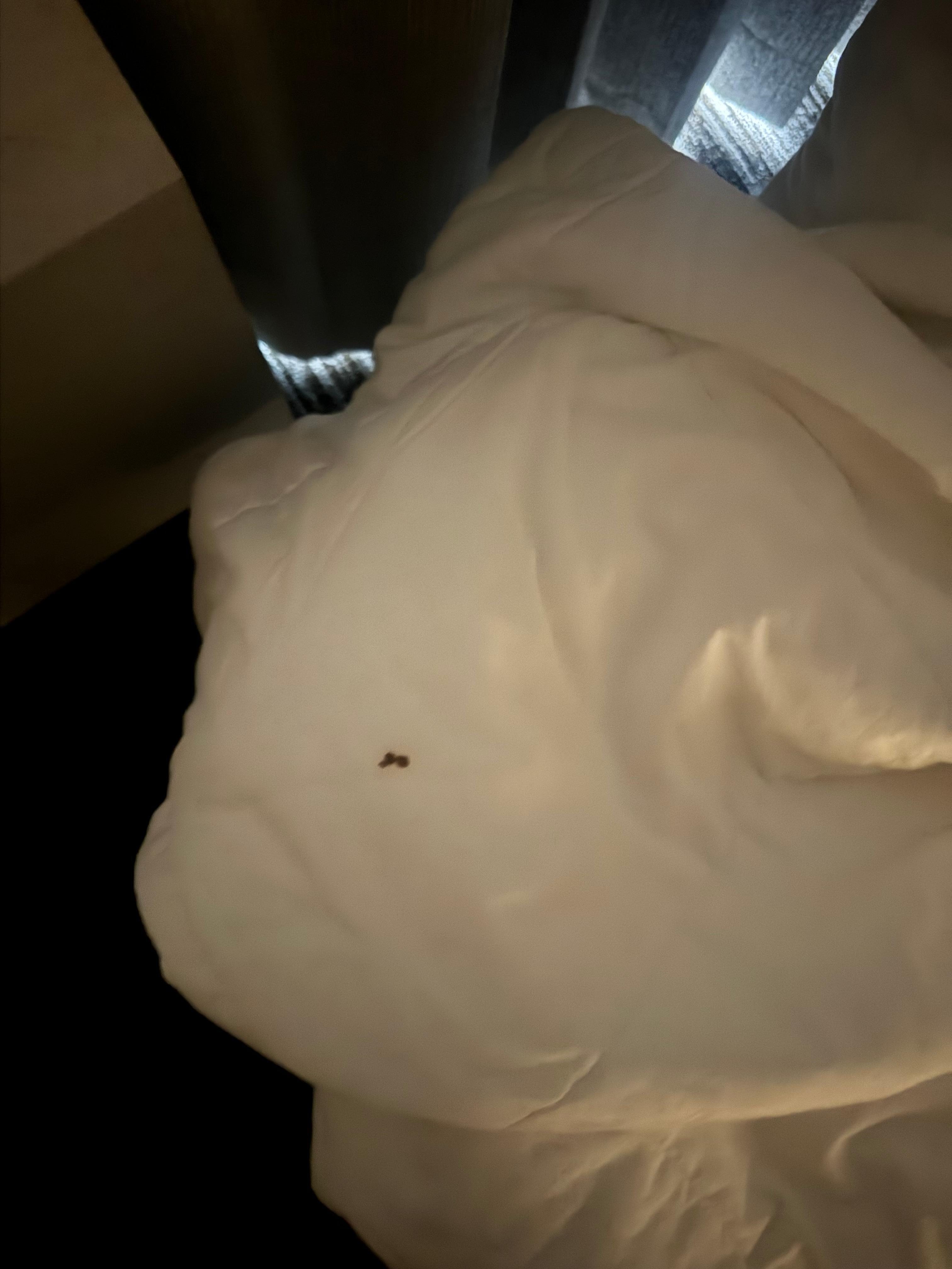 Second replacement blanket had another. 