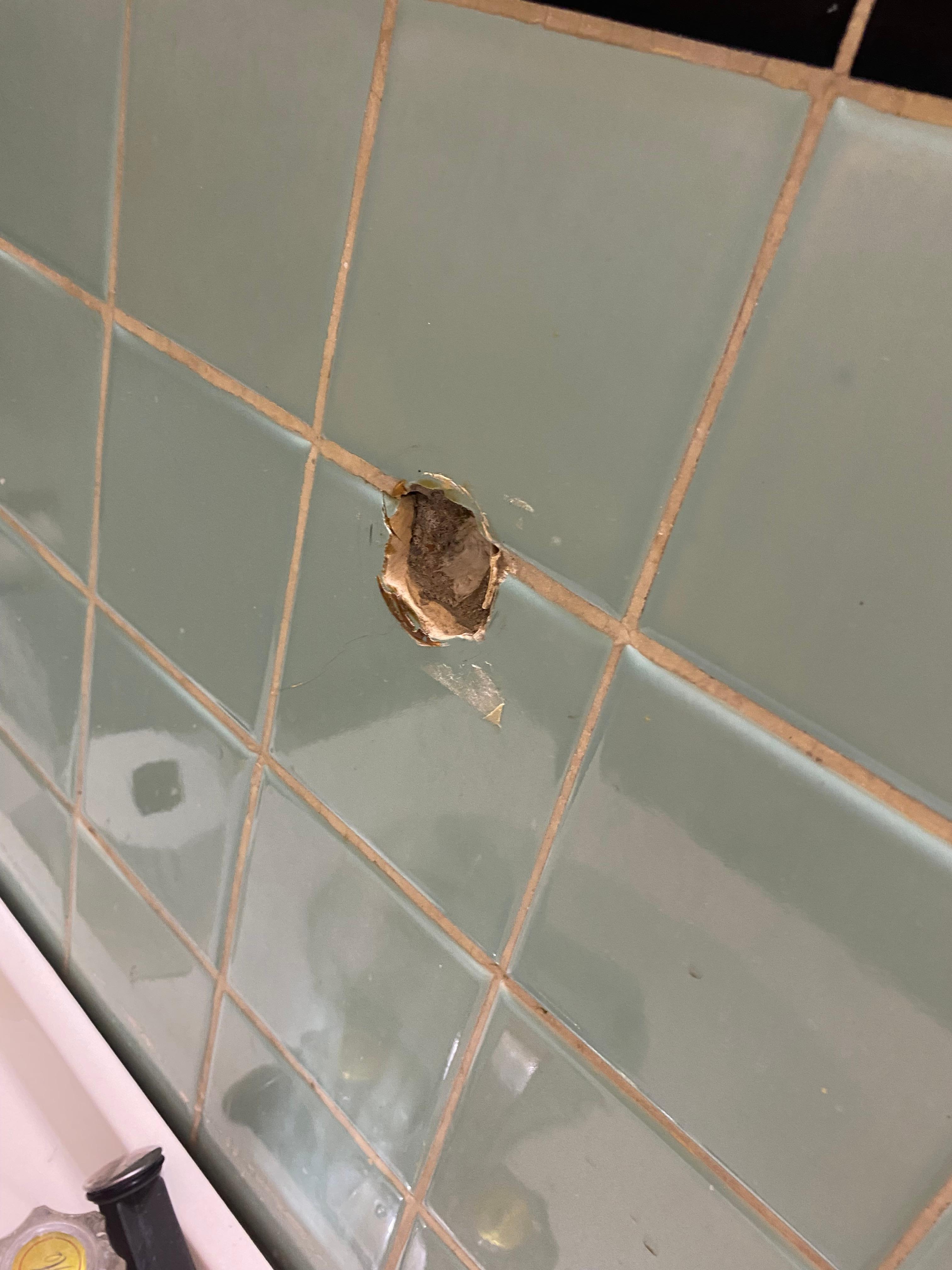 Shower had a hole in tile, also had bugs coming out of the holes.