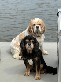 The boat captain and his first mate!