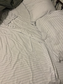 When I pulled back the bedspread this is what I found.