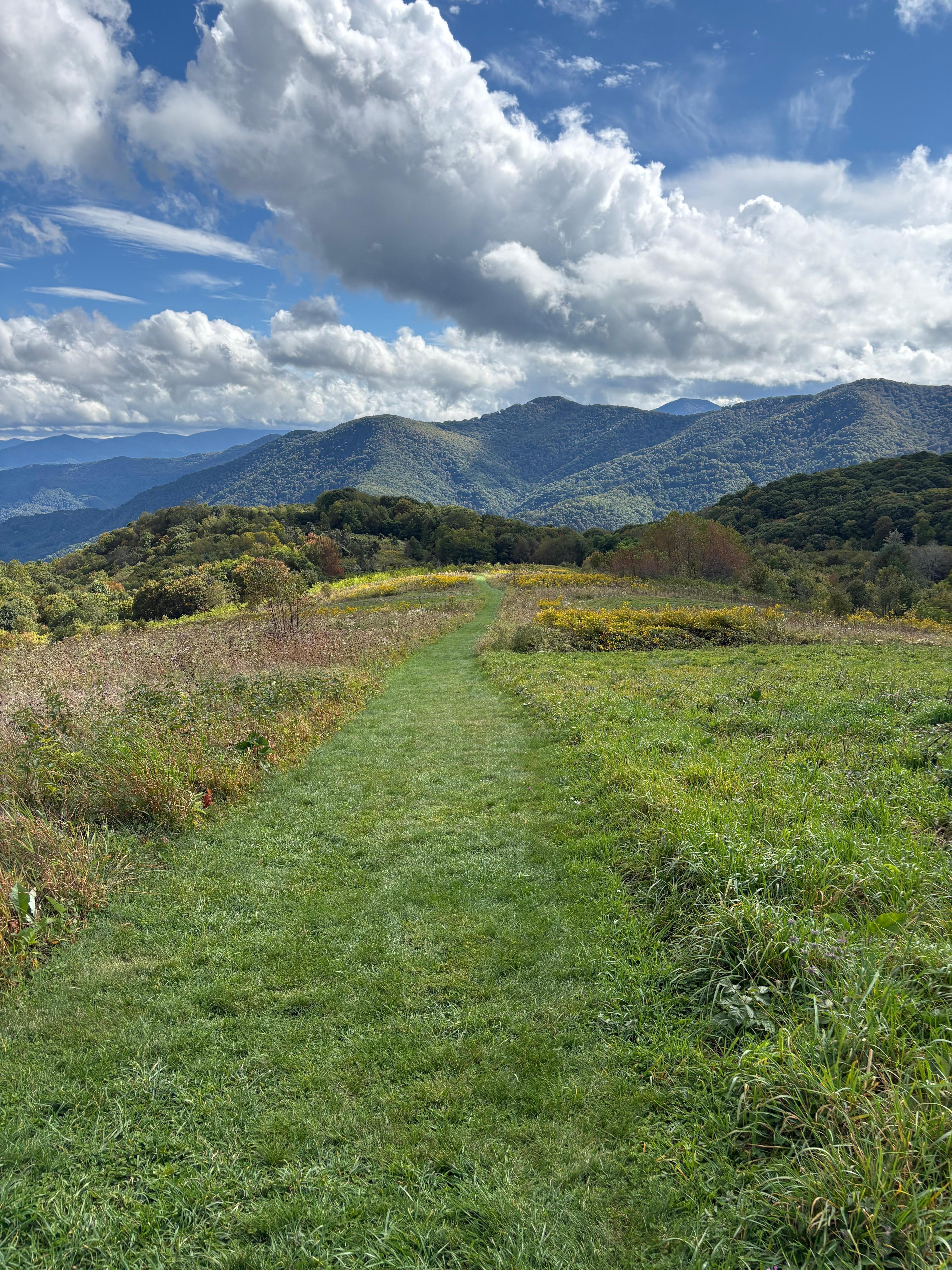 This is the Cataloochee Divide Hike.