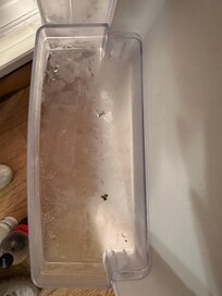 Fridge not cleaned well
