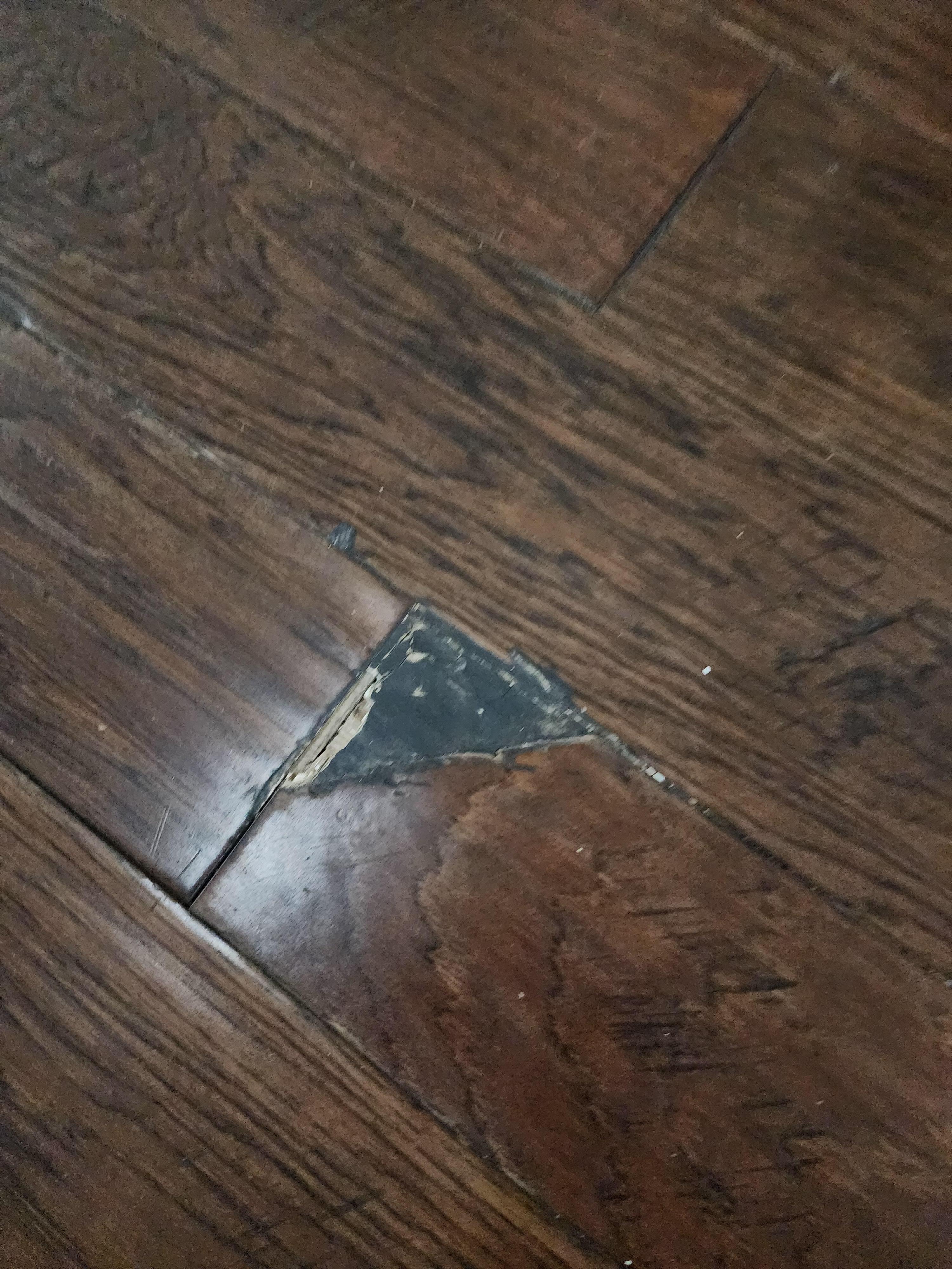 Another example of damaged floors.