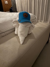 Cute towel decoration (hat added by us)