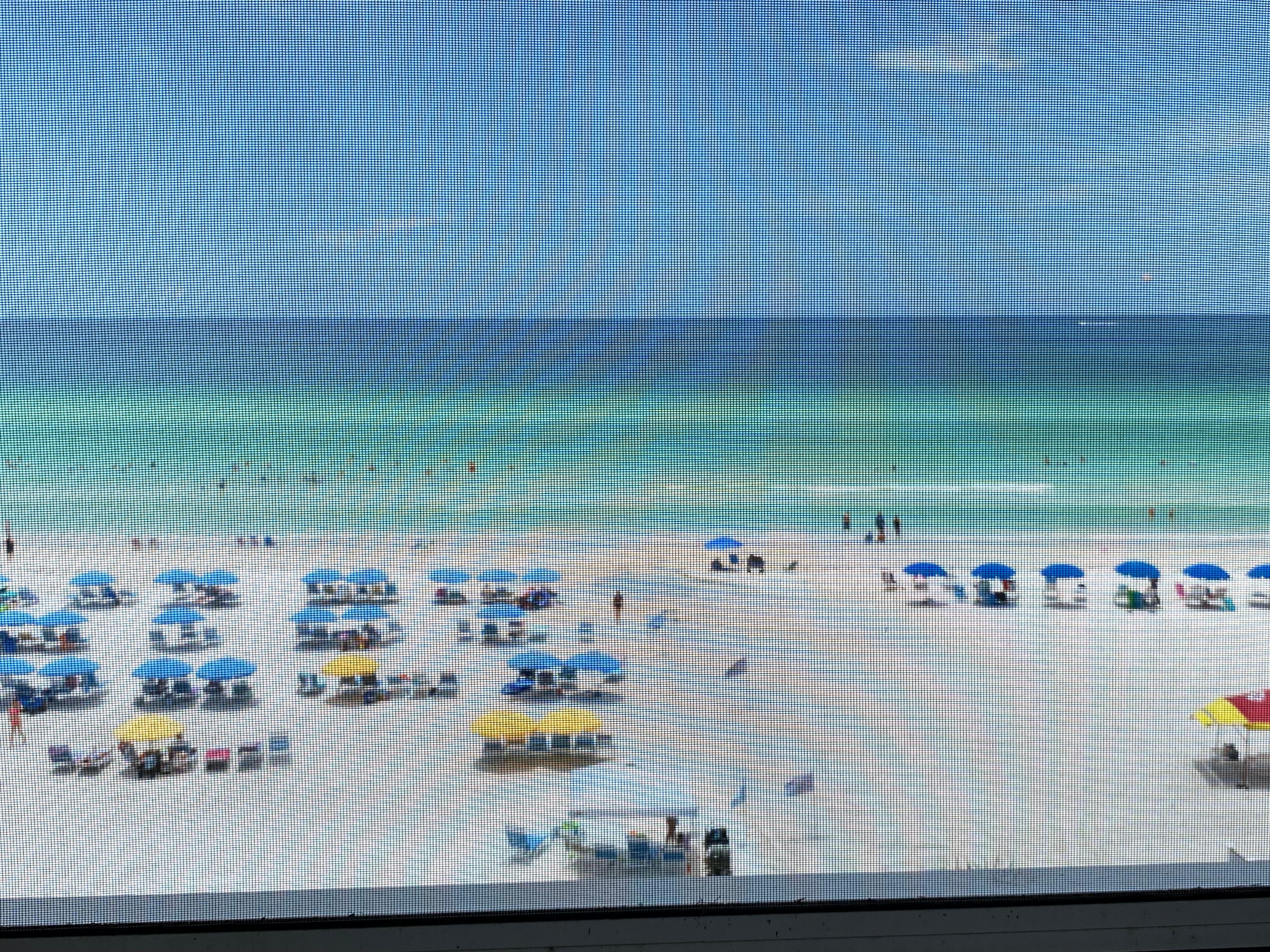 The view front the balcony 