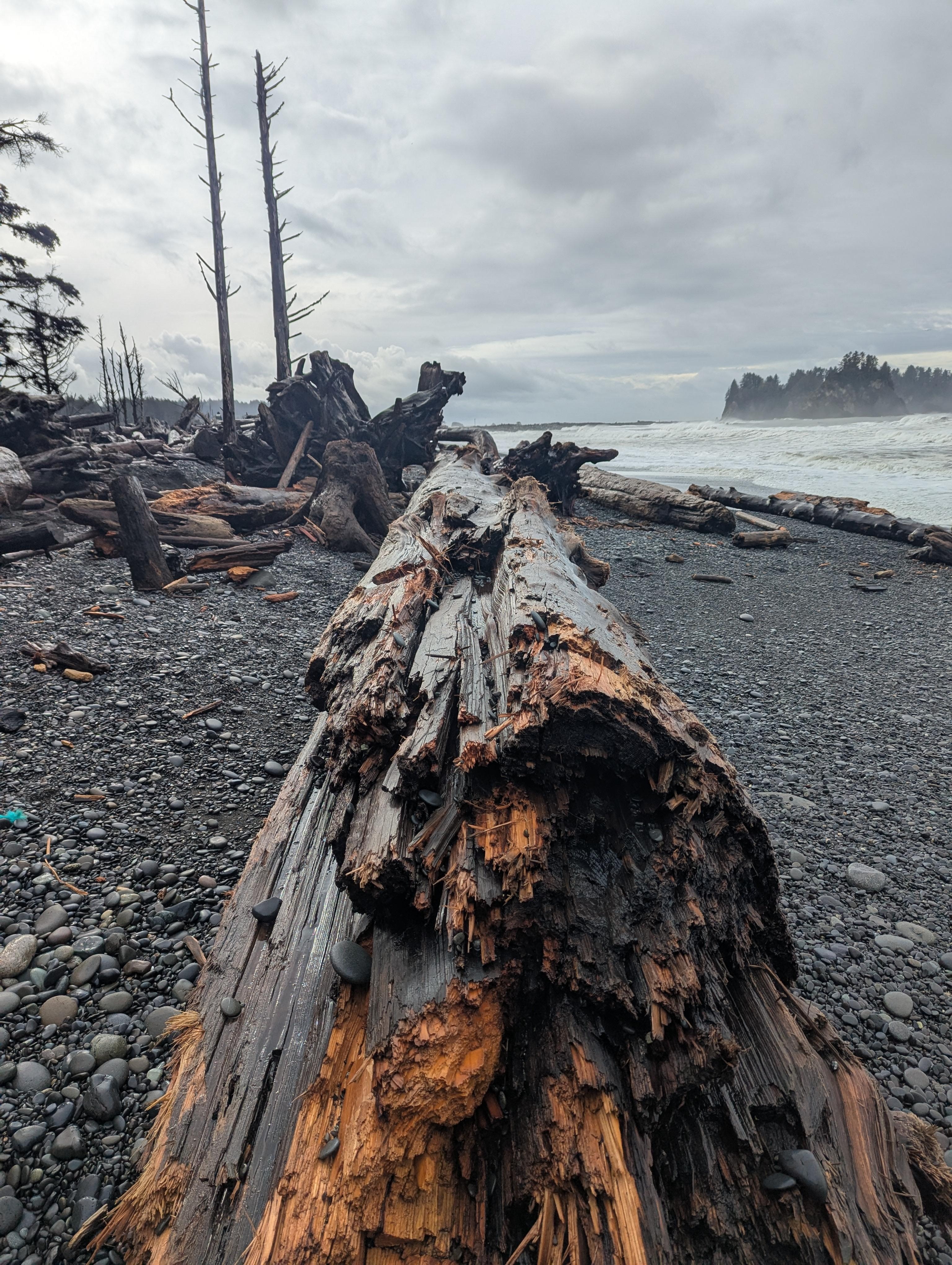 North of Rialto Beach heading towards "Hole in the Wall"