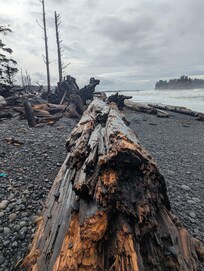 North of Rialto Beach heading towards "Hole in the Wall"
