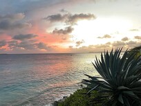 Enjoy sunsets every night from the gazebo in the garden!