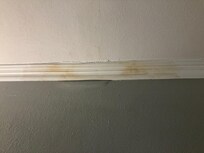 Water stains. Hopefully.