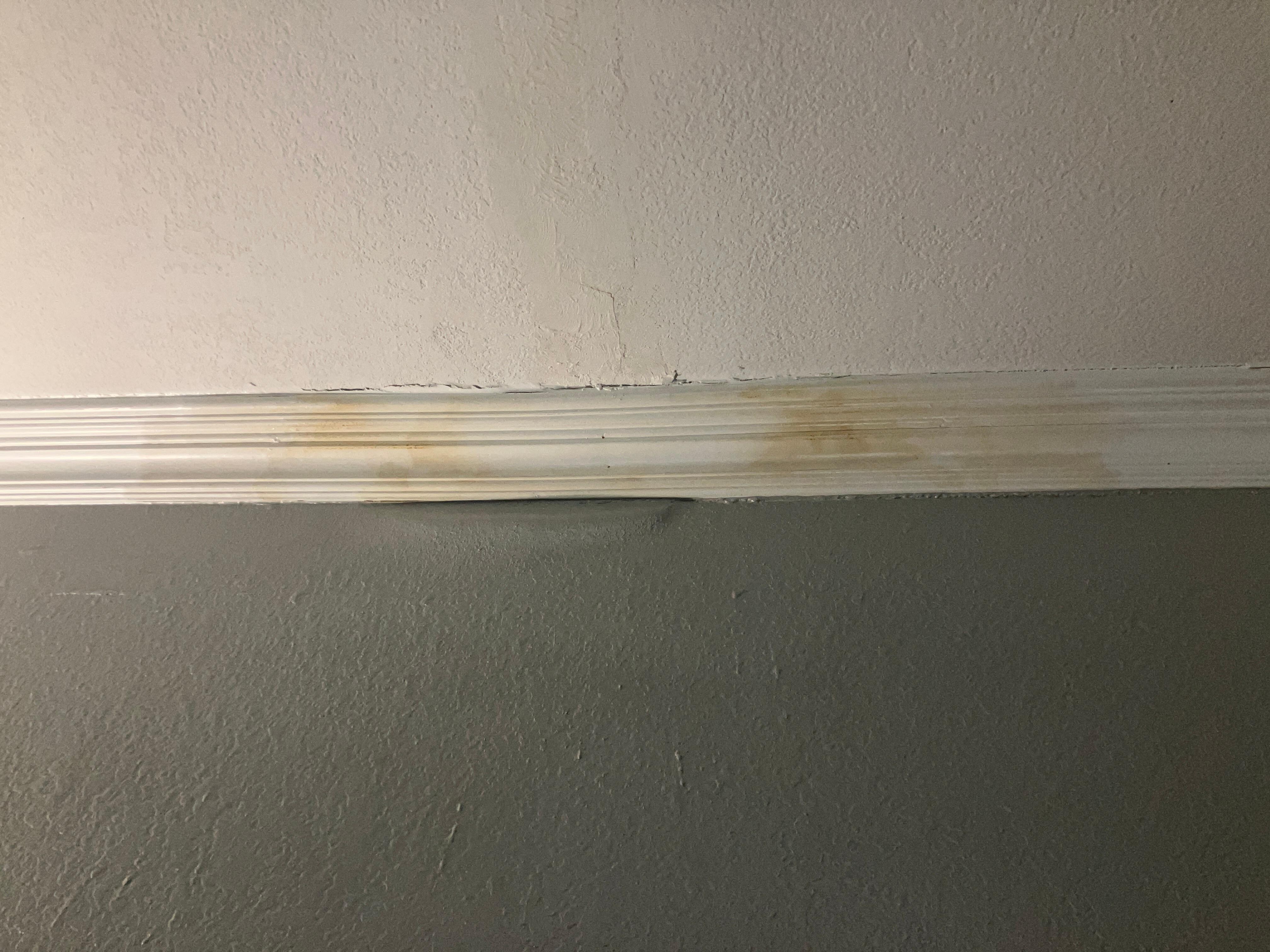 Water stains. Hopefully. 