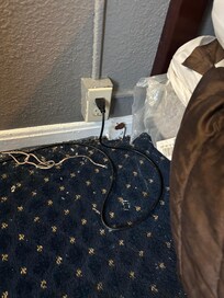 Is that a poop next to a bare wire?