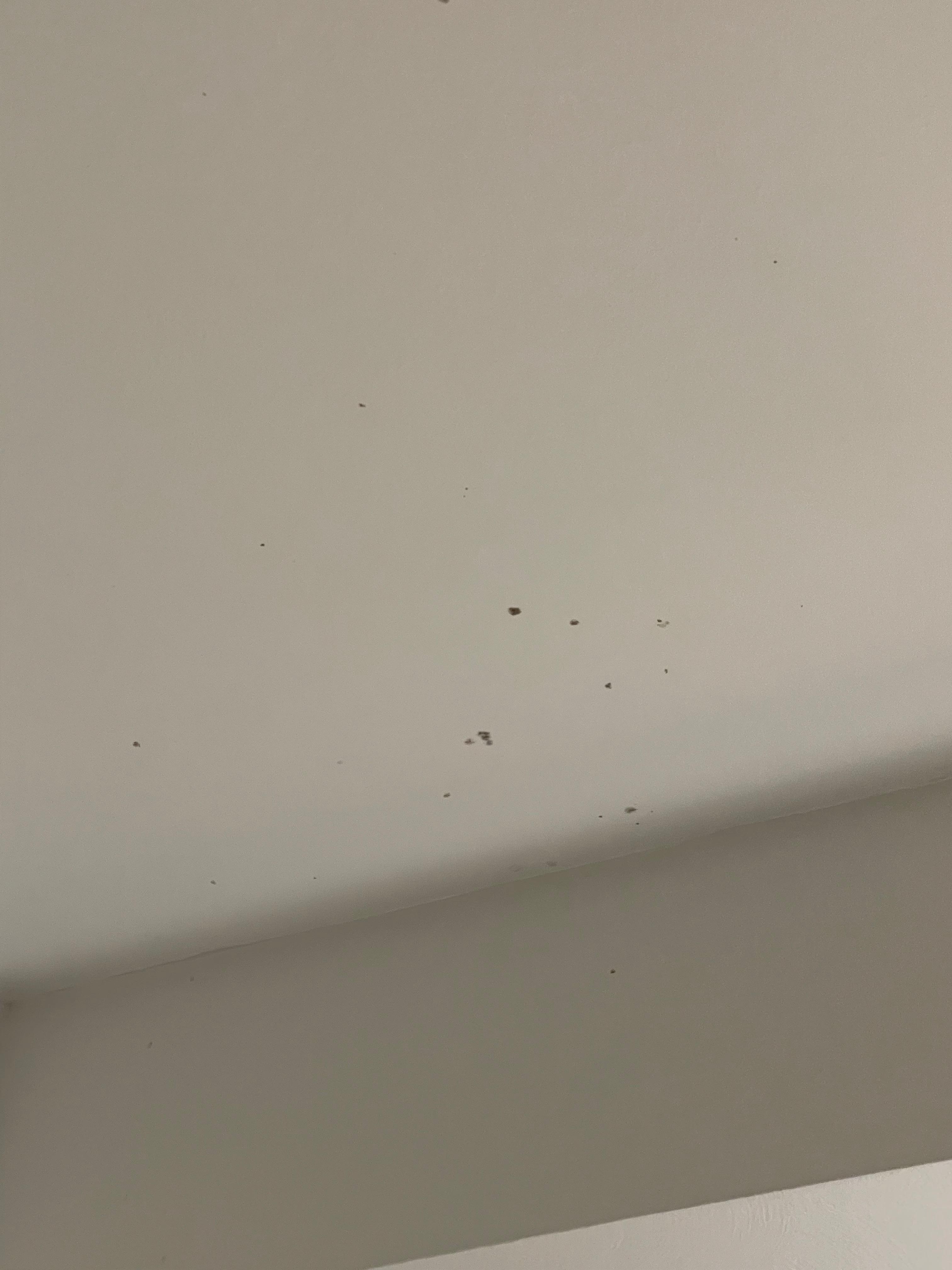 mold in bathroom 