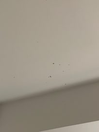mold in bathroom