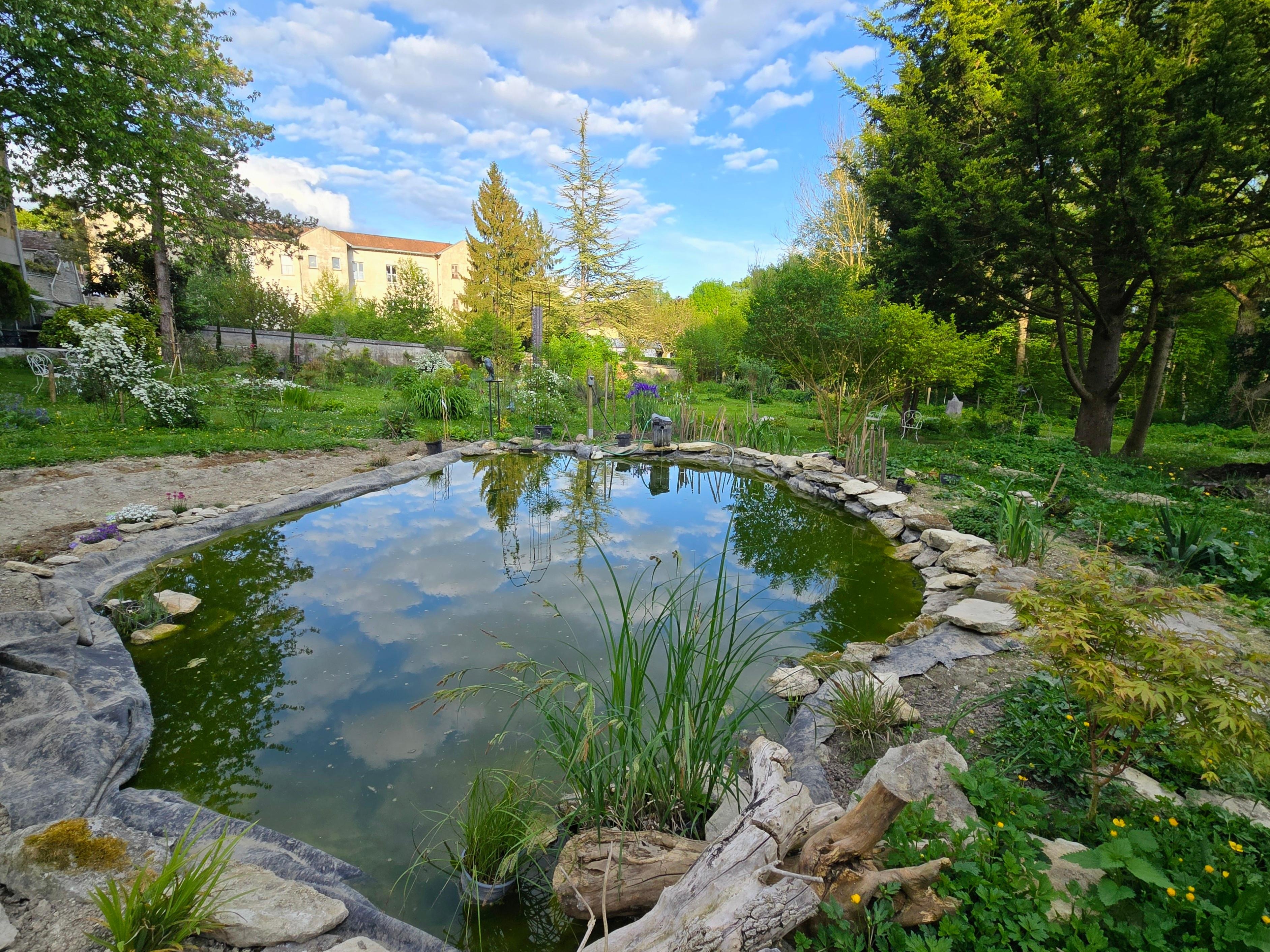 The pond in the backyard garden
