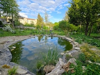 The pond in the backyard garden
