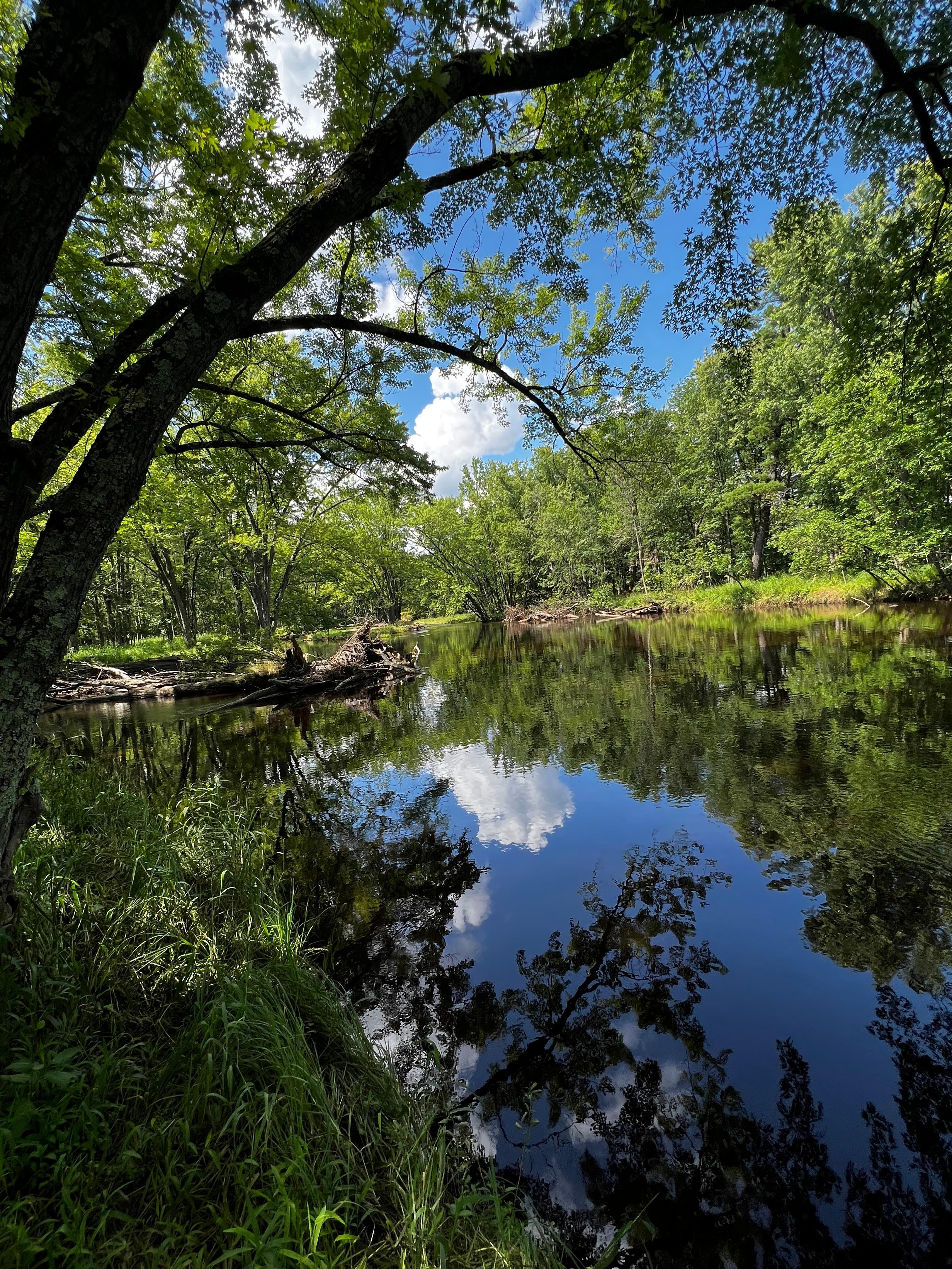 Short drive to Eau Claire River trails in Weston.