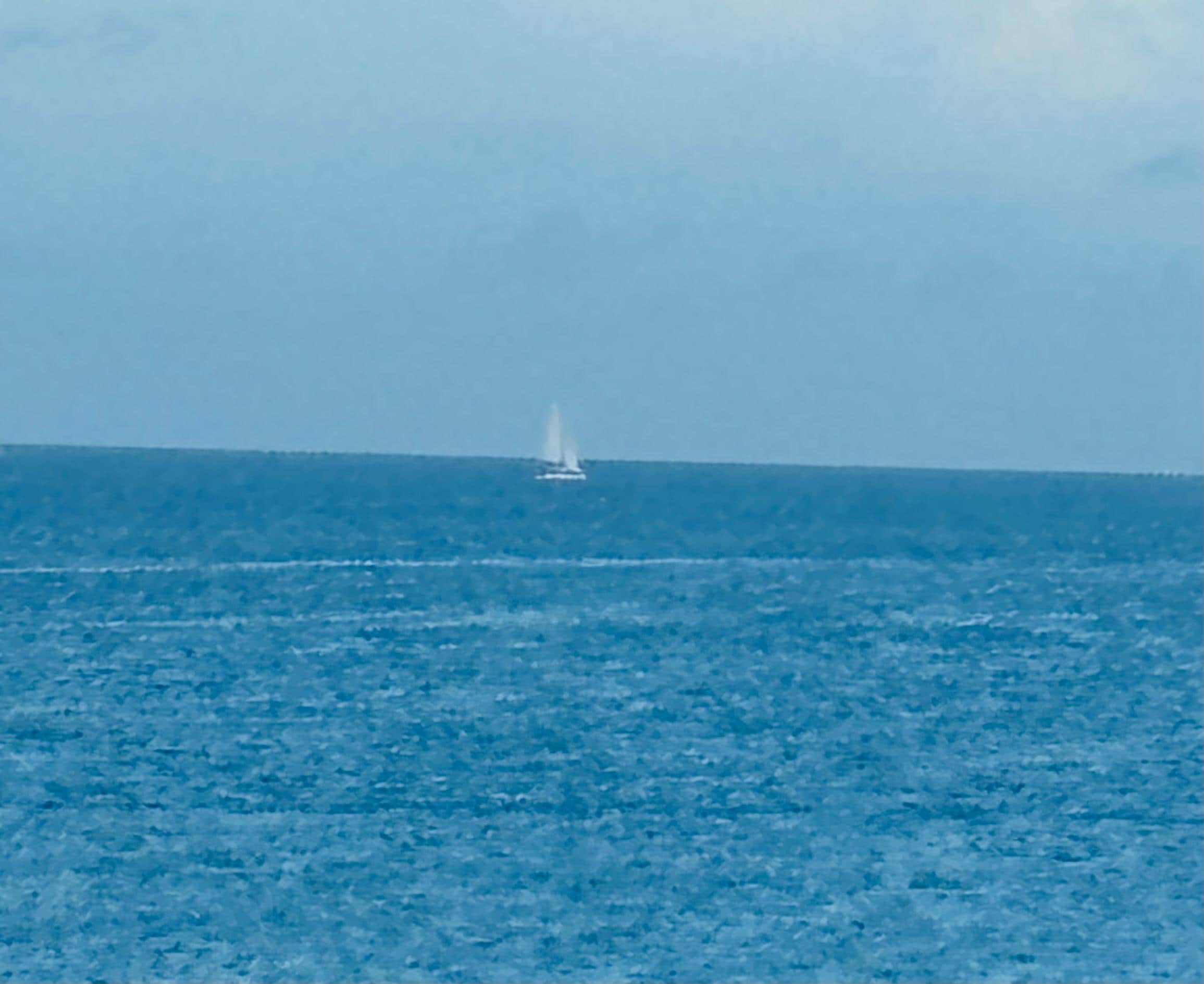 Sail boats going out to sea