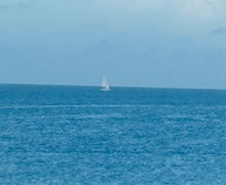 Sail boats going out to sea
