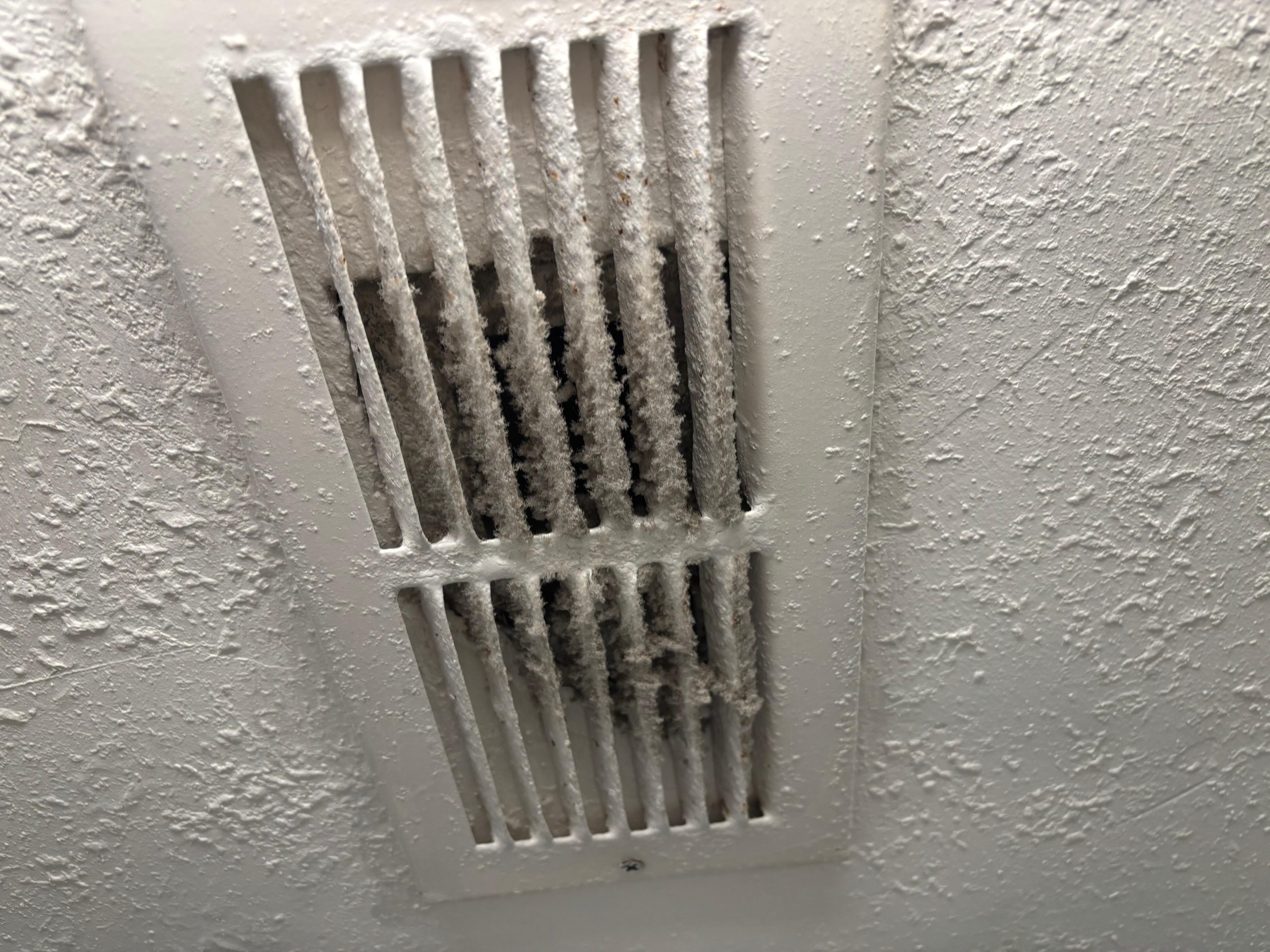 Master bathroom vent