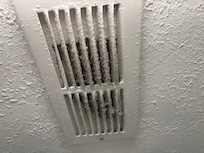 Master bathroom vent