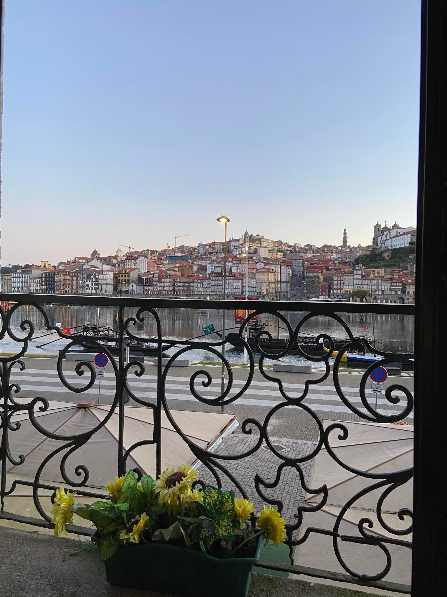 Morning view from room