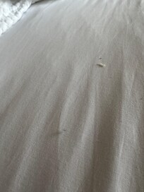 Nail clippings in bed