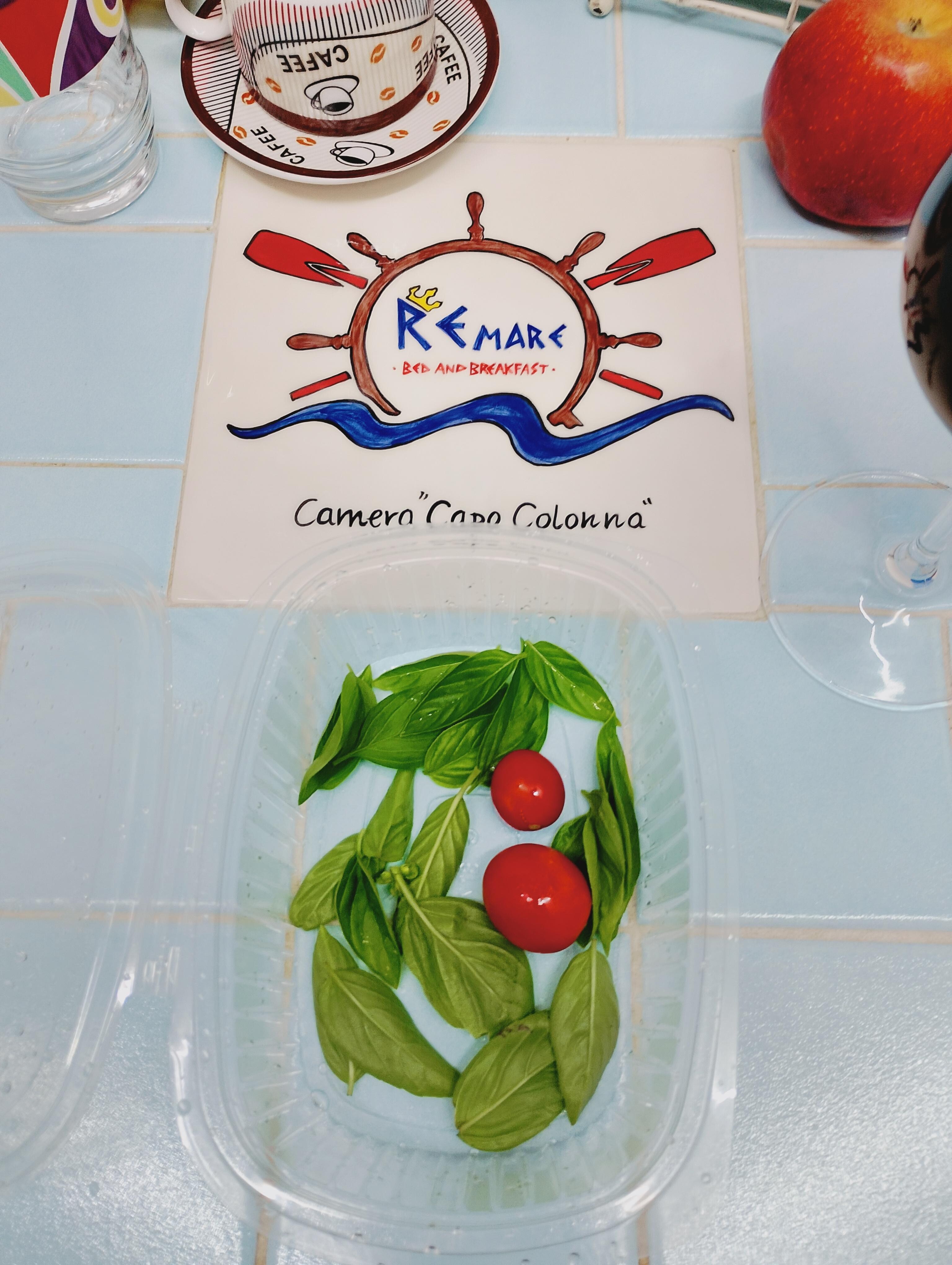 Frische Basilikum und frische Tomaten aus dem Garten