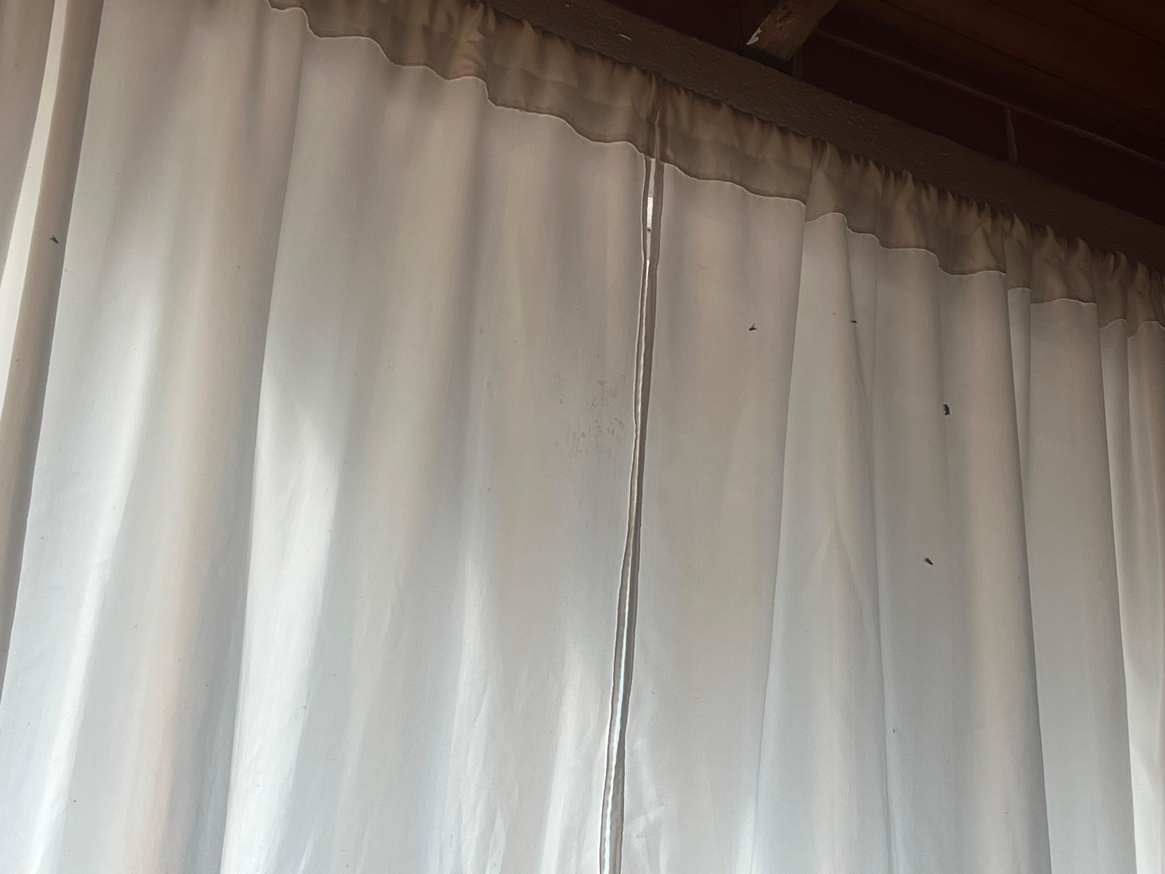 Esto era en la habitación a pesar de que todo estaba cerrado las mosca eran incontables 