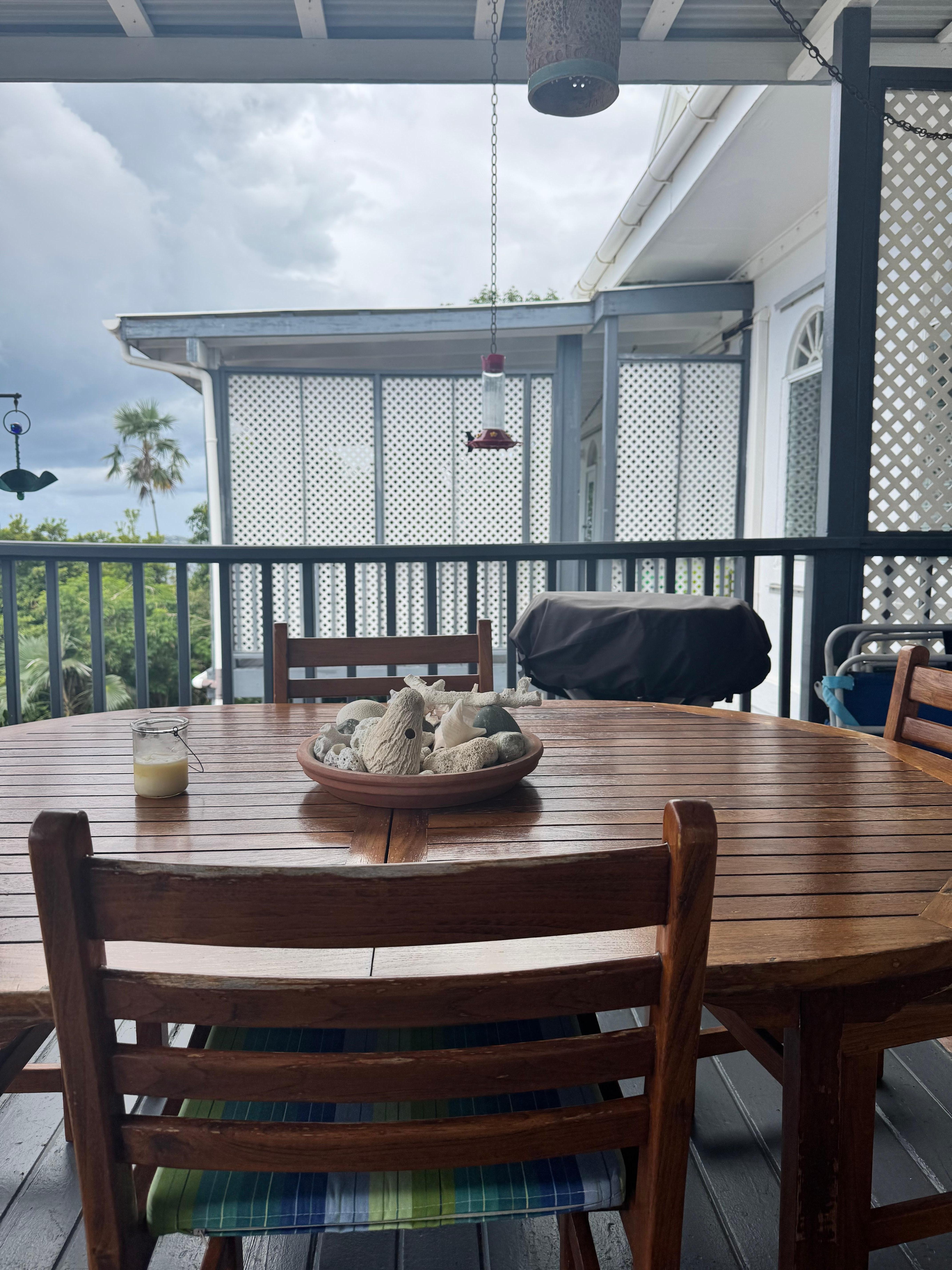 Hummingbird feeding on the back patio