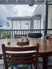 Hummingbird feeding on the back patio