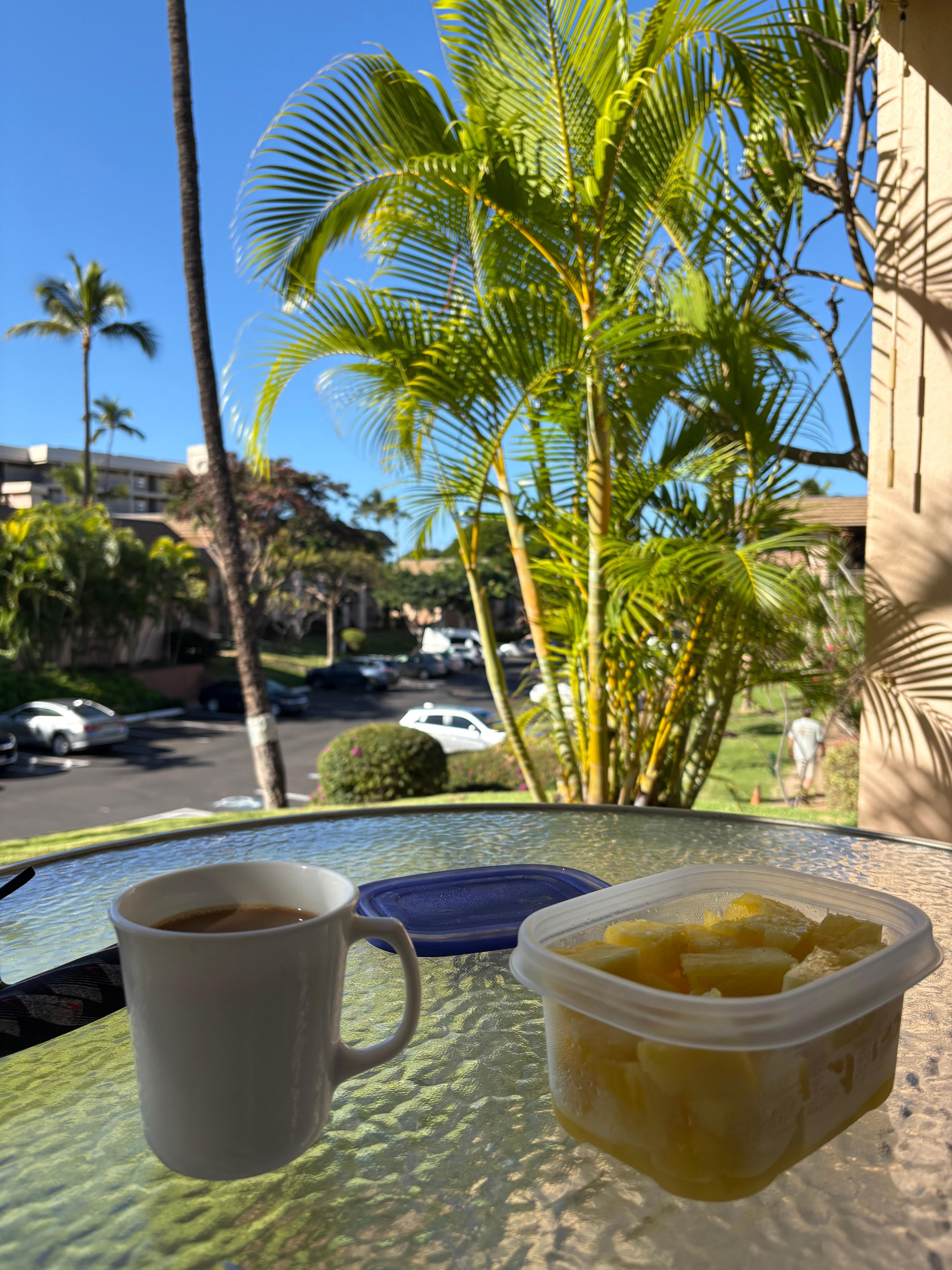 From the lanai looking Makai