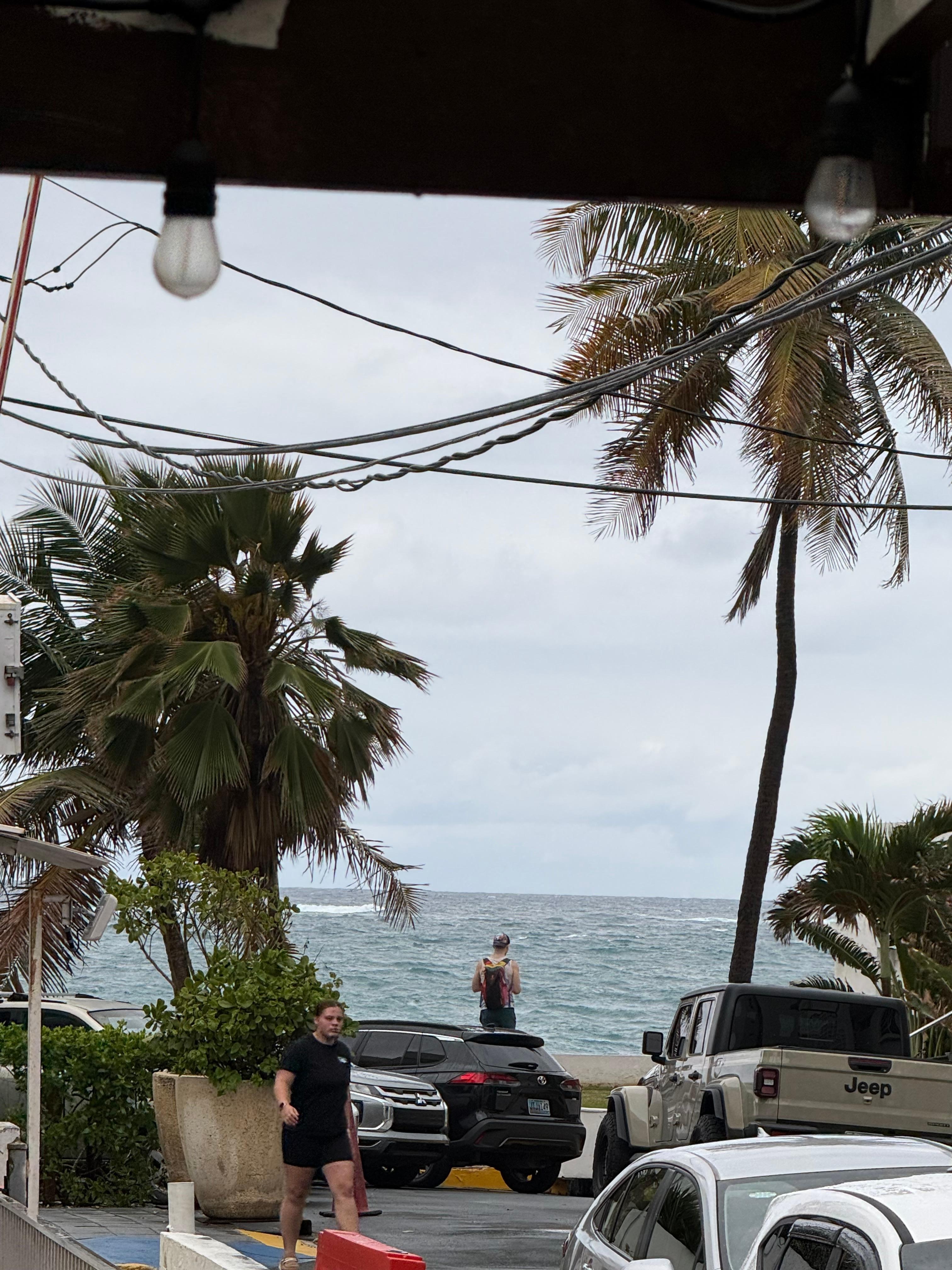 The view from the  side of the upper walkway.  It was so pretty even with the gloomy clouds & rain.