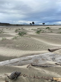 Dune area where the slough runs into the ocean. Far south end of beach