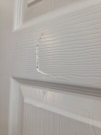Bathroom door