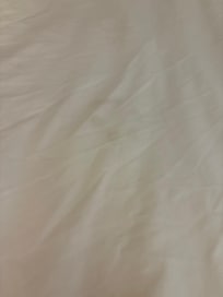 Dog paw prints on the sheet and stains
