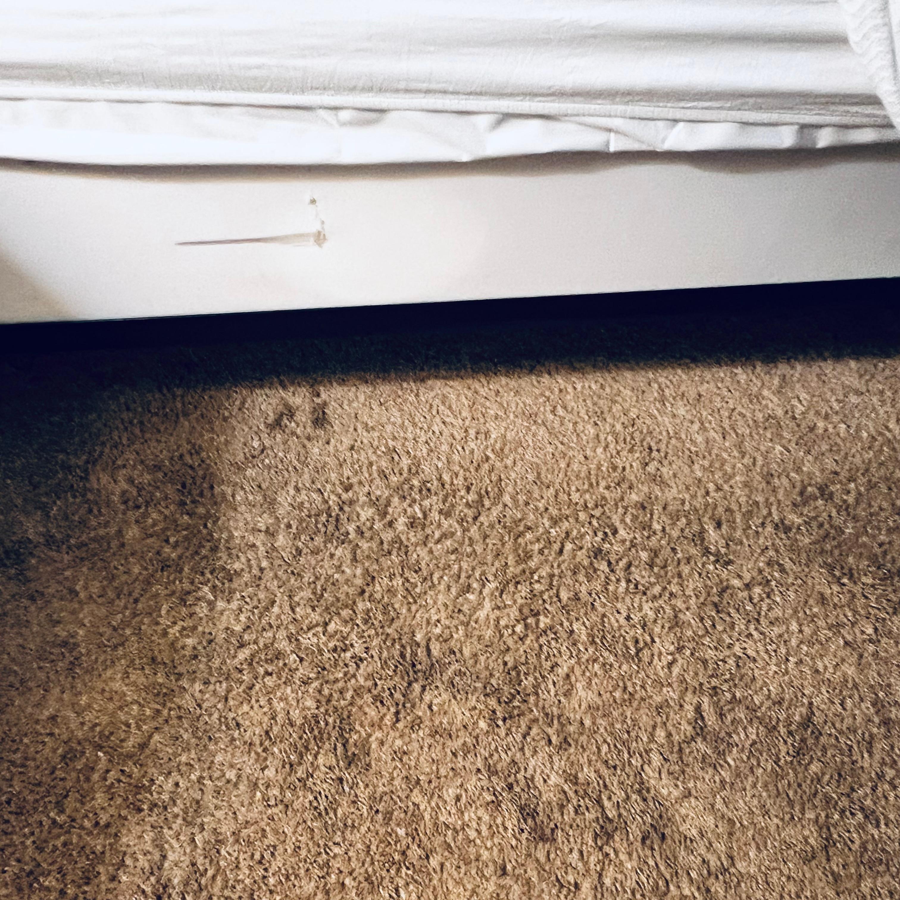 Dirty carpet, no bed skirt.