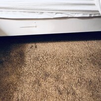 Dirty carpet, no bed skirt.