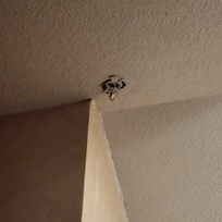 Exposed wiring in my room