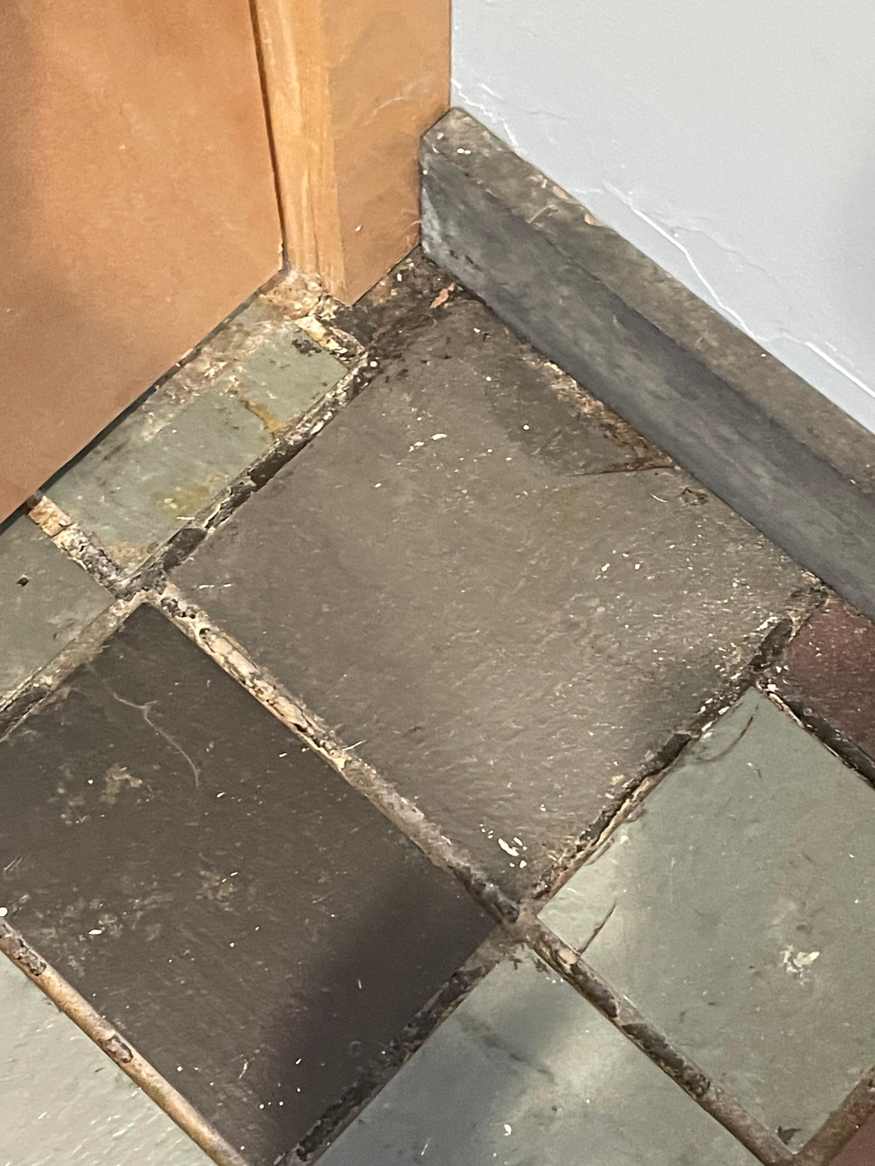 Mold on bathroom floor
