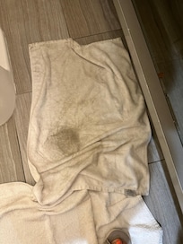 This towel is from the floor that I used to wipe up water that came out of the refrigerator. When I let the front desk know they didn’t offer to go up and clean the floor.