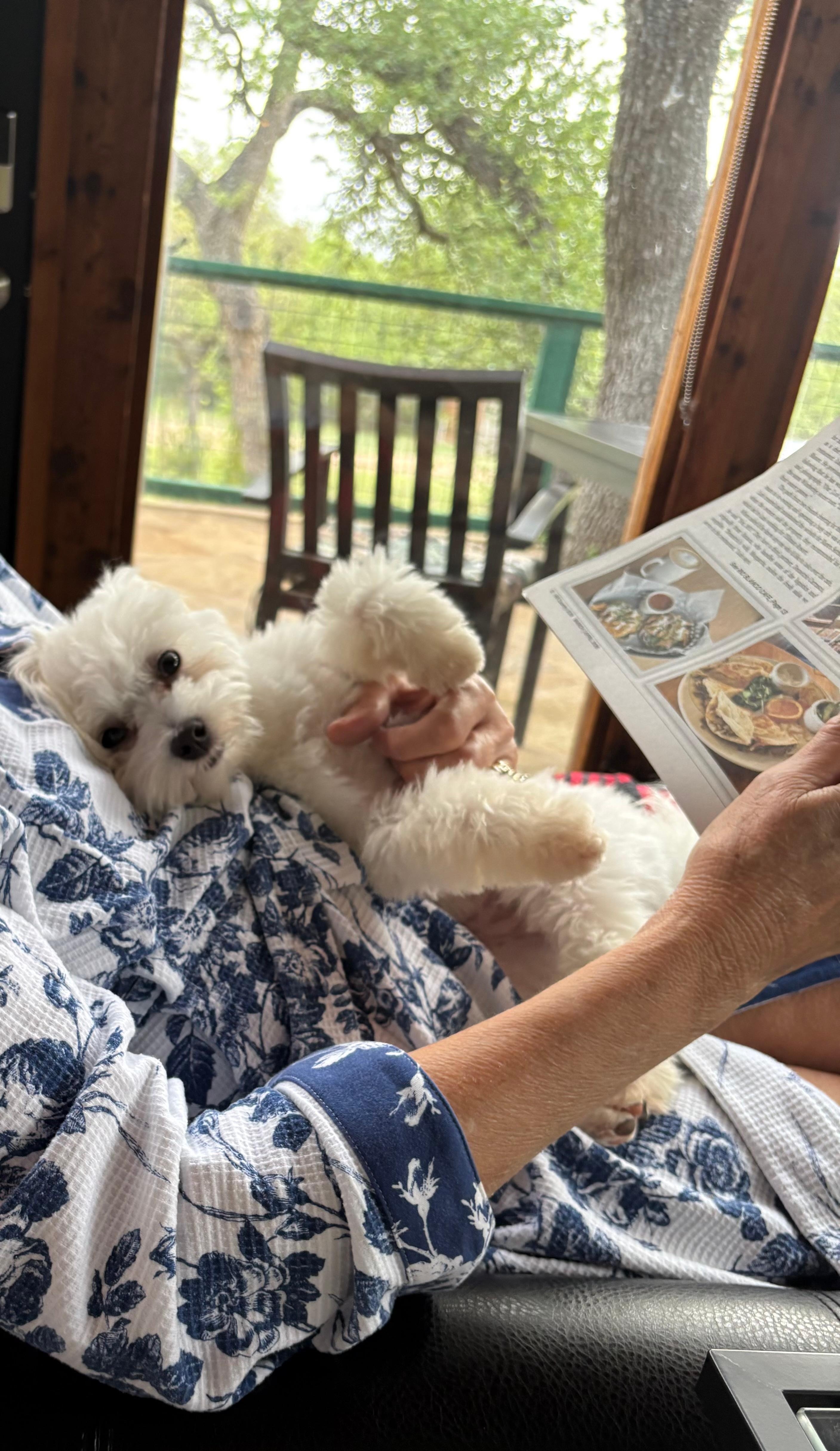 Cozy on up With Leon while getting ideas of things to do around the artsy  downtown of Wimberely, TX.