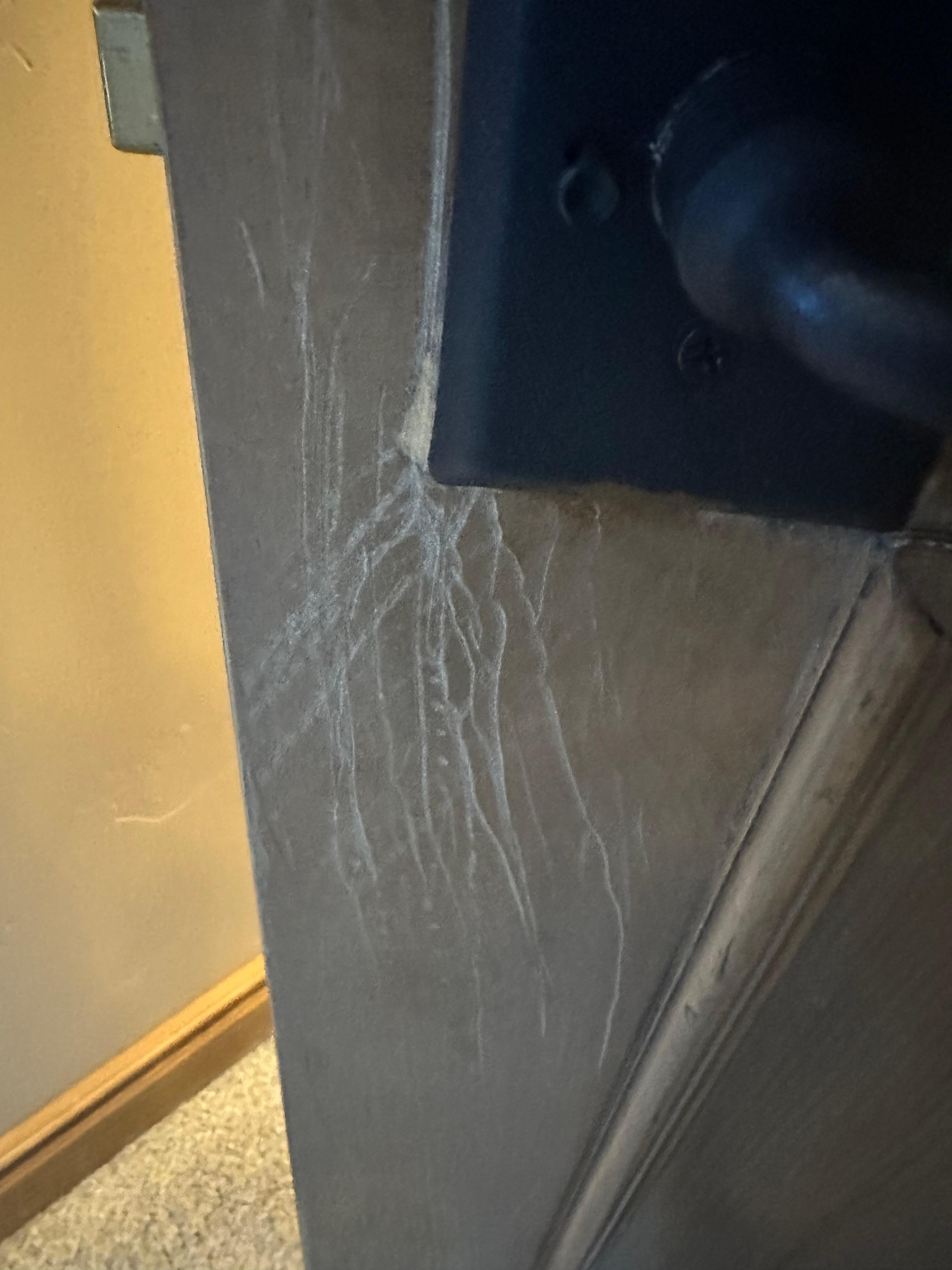 All the false claims of my dogs scratching the doors