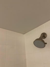 Mildew on wall