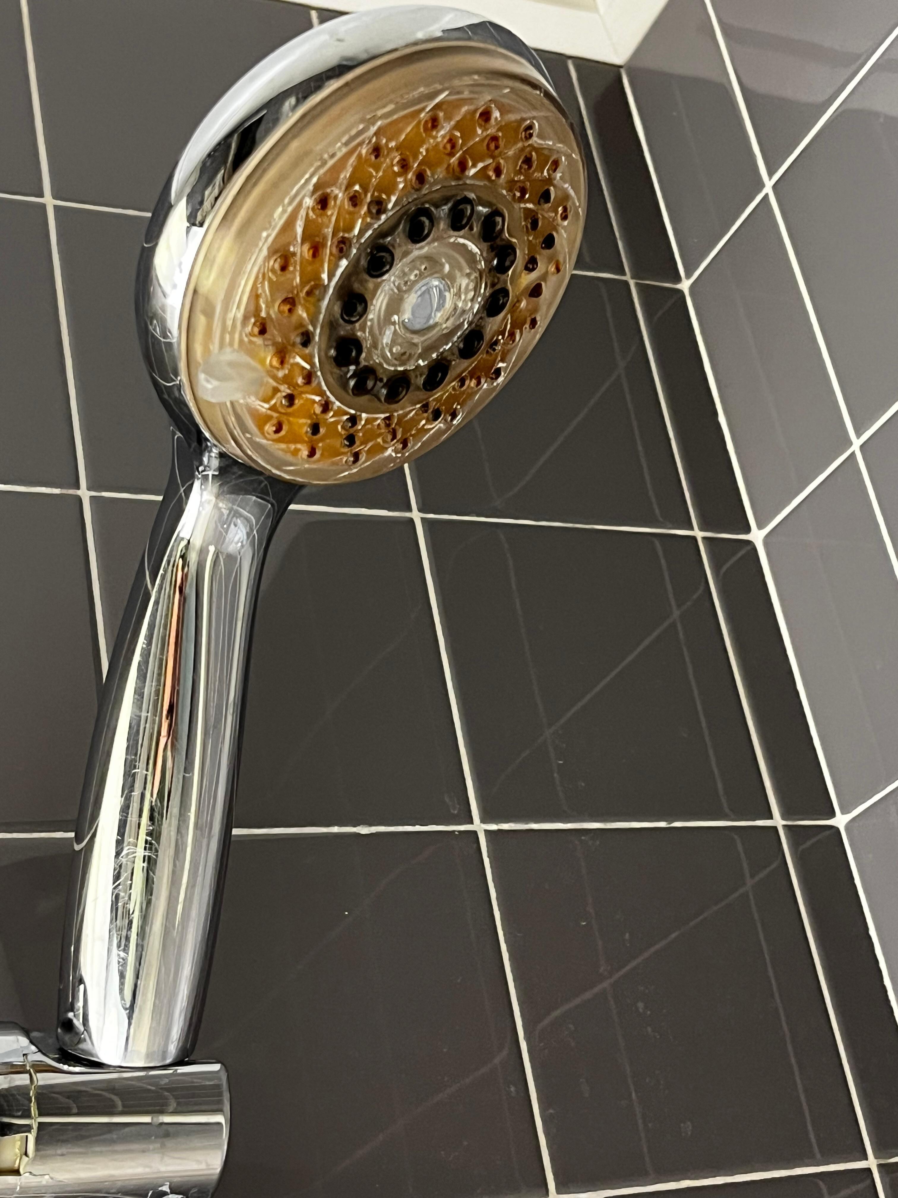 Shower head is clogged and dirty with no water pressure.