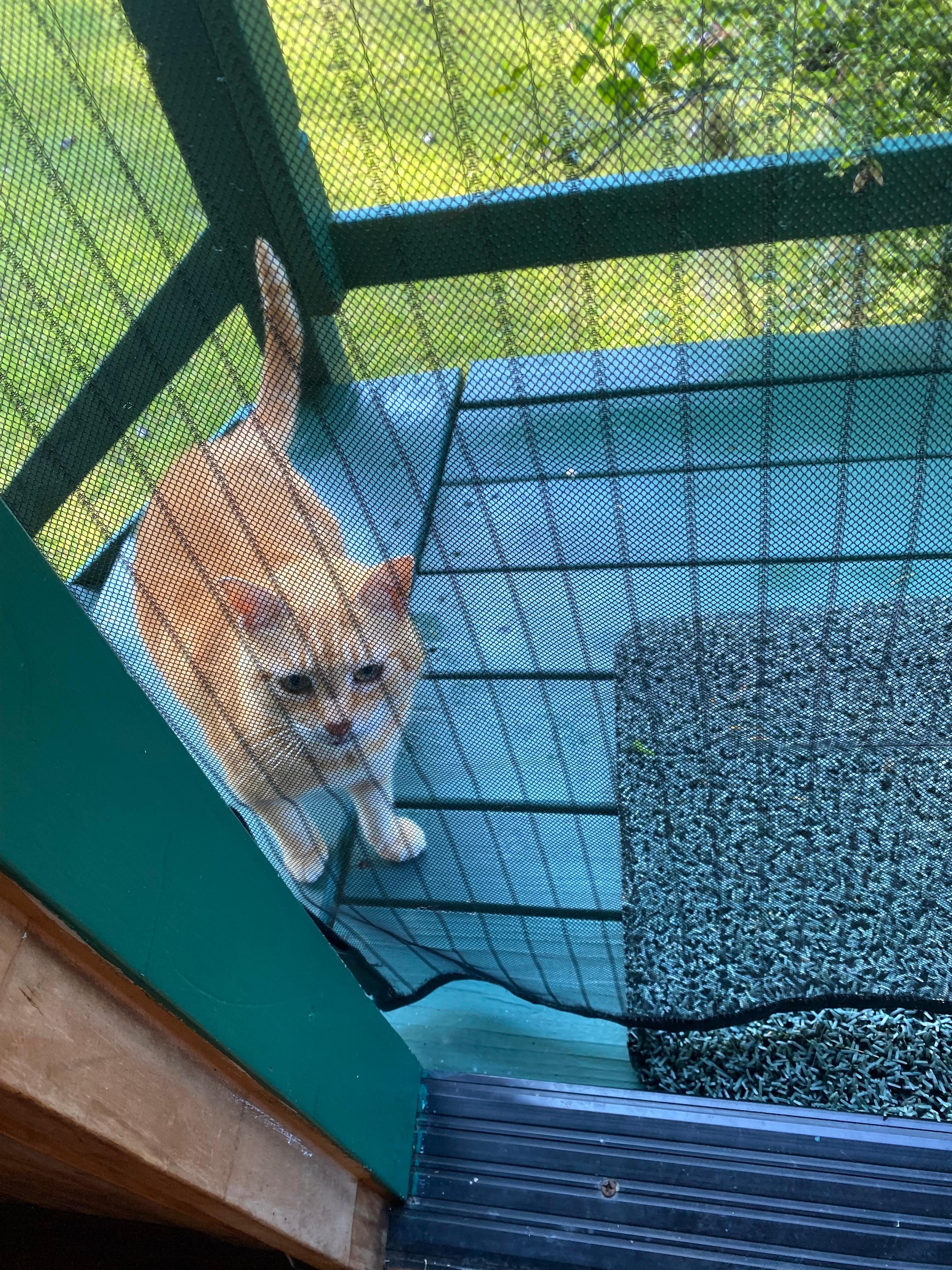 Can I come in please??