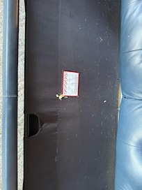 Pull out couch hair and crumbs. The same on the actual mattress.