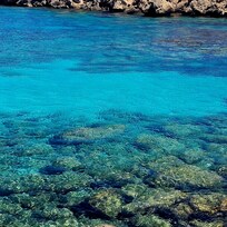 Boat trip to turtle bay and blue lagoon (a must)
